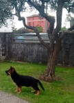 WhatsApp Image 2018-01-19 at 18.44.49.jpeg