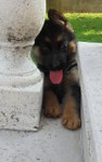 SAM_2844.JPG