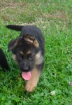 SAM_2870.JPG
